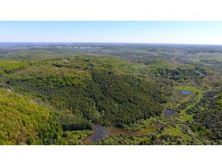 Property photo 13 - LAND AUCTION - 2,596+/- ACRES IN 28 TRACTS IN COSHOCTON & MUSKINGUM COUNTIES, OHIO